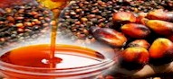 PALM OIL PRODUCTS